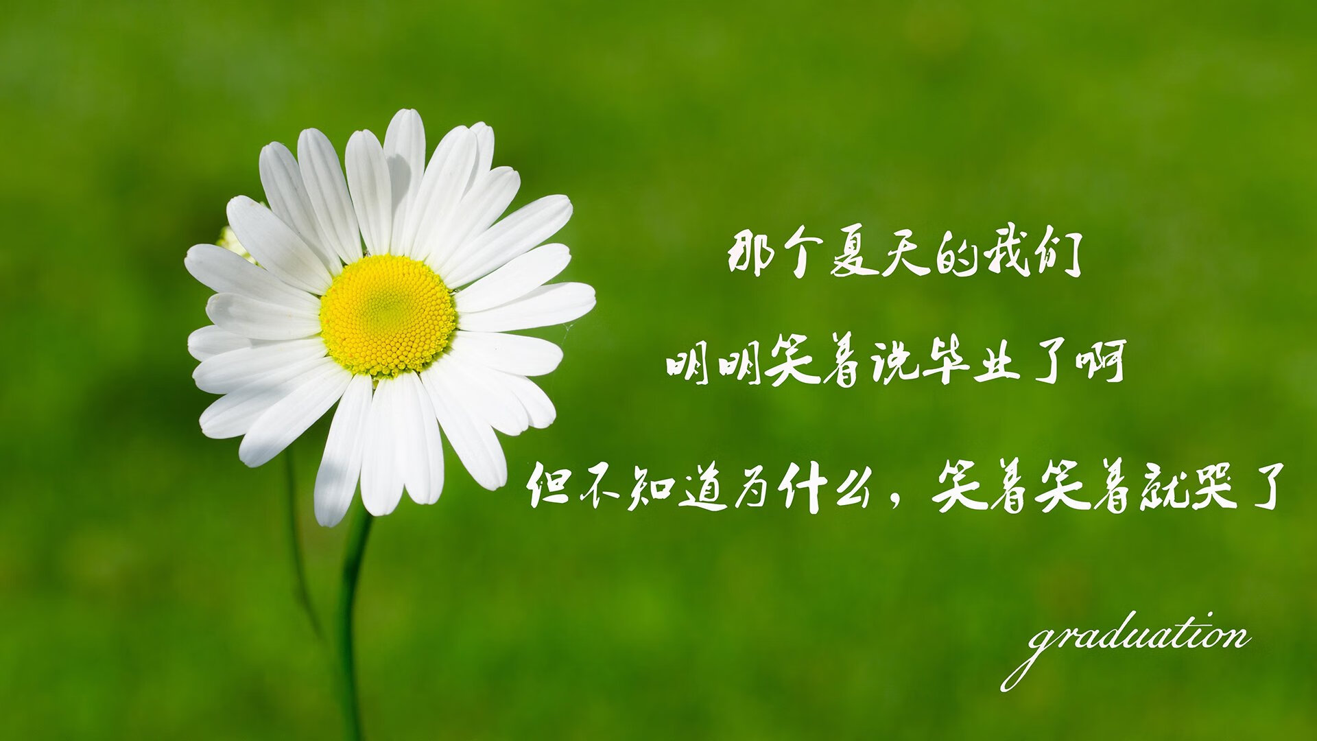 国内铁矿粉价格最新行情走势图表(铁矿粉国际价格)