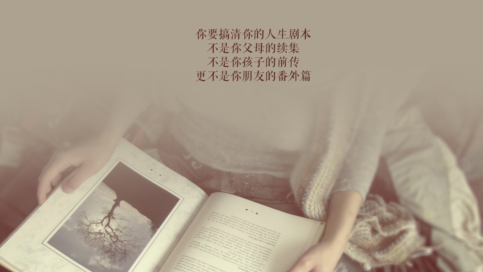 澳大利亚铁矿石利润(2020年澳大利亚铁矿石产量)