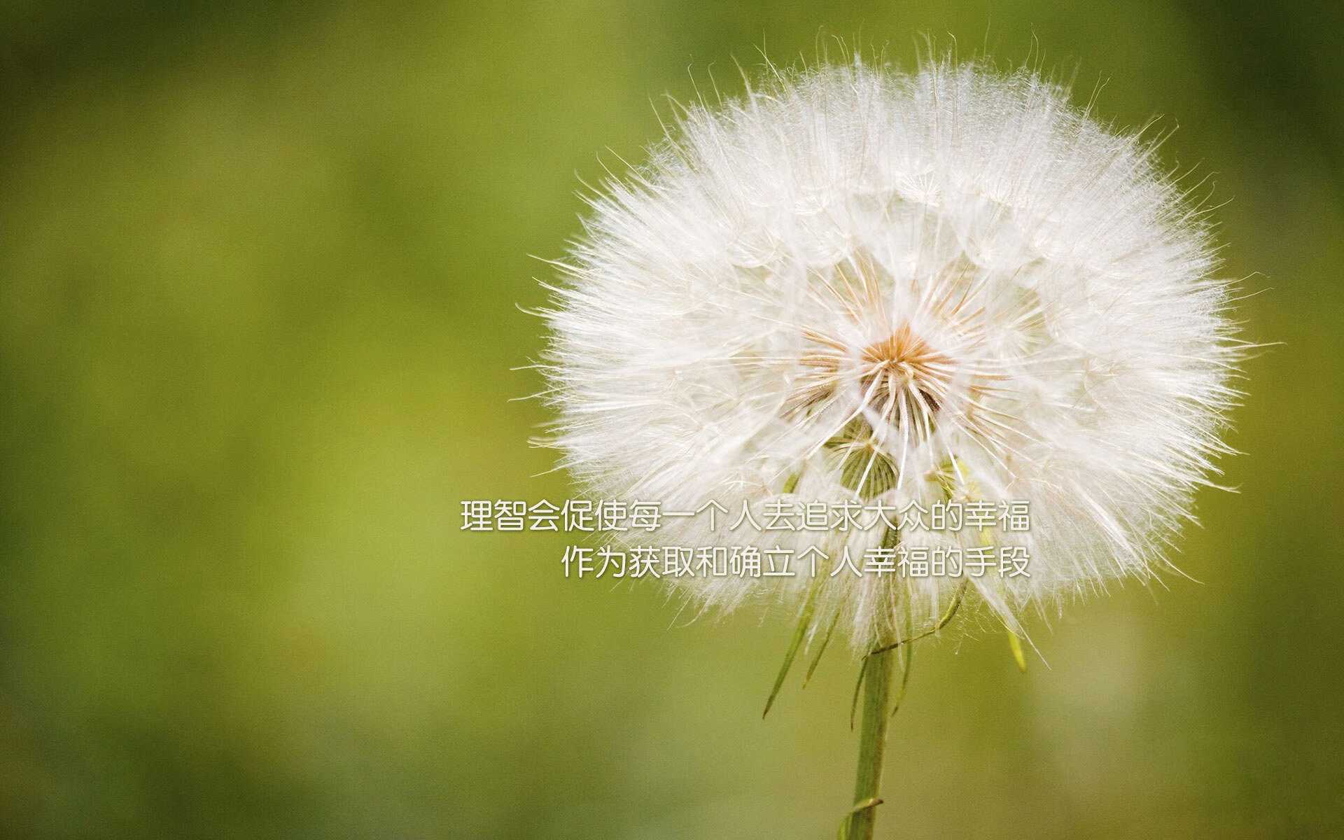 中国的铁矿石价格走势(中国铁矿石定价)